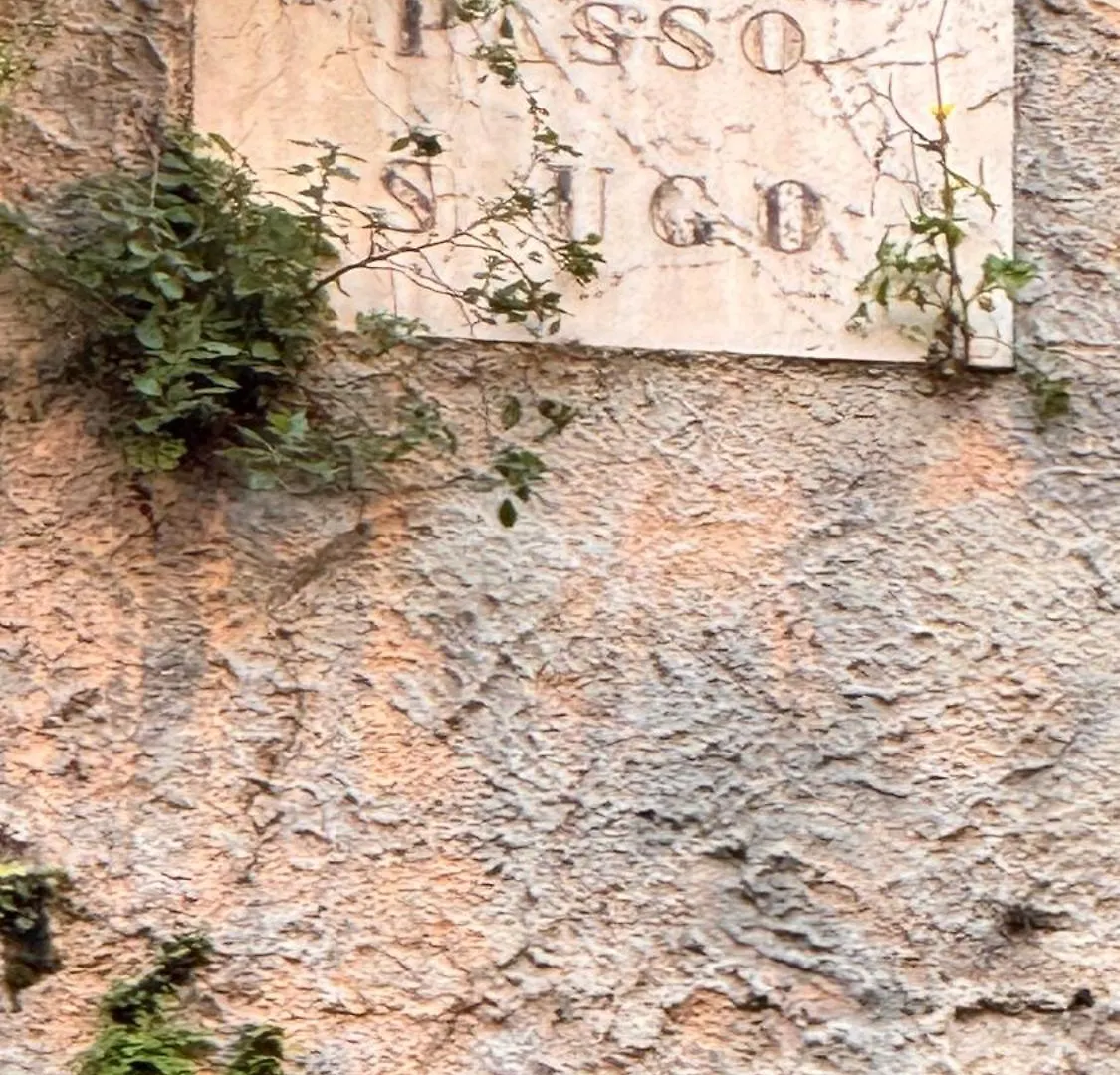 Genova Suites Sant'Ugo 0*, Janov